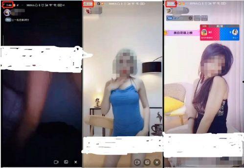 国产色情自慰免费视频,暗流涌动的网络迷局