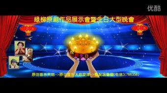 国产精品vv视频播放,视听盛宴尽享其中