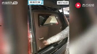 国产后门视频,技术揭秘与防范策略